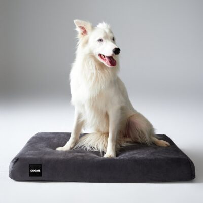 Alternative view of Cama Dogme Futon Cinza
