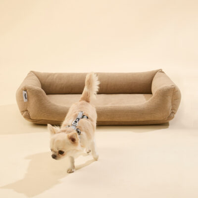 Alternative view of Cama Dogme Comfort Bege
