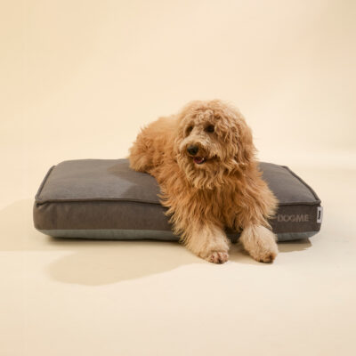 Alternative view of Cama Dogme Form Futon Cinza