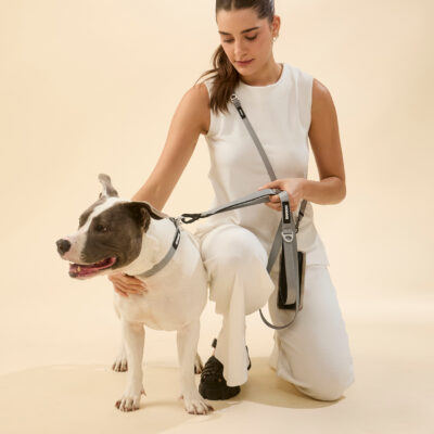 Alternative view of Coleira Dogme Magnetic Nylon Cinza L