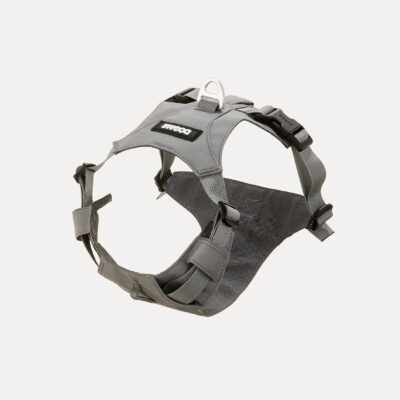 Peitoral Dogme Two Strap