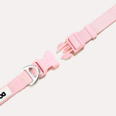 Coleira Dogme Nylon Rosa