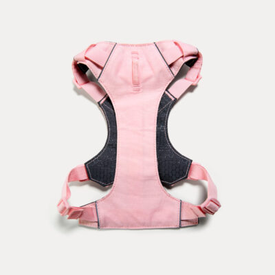 Peitoral Dogme Two Strap Rosa